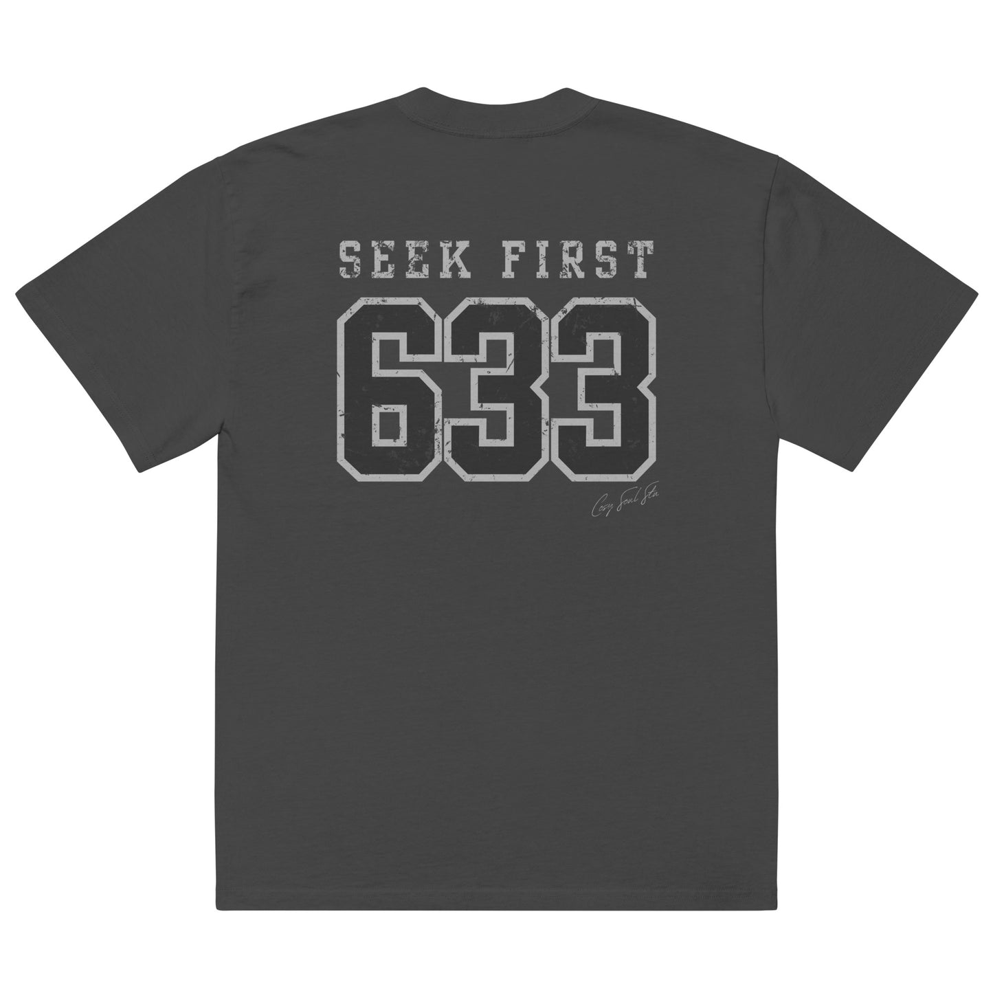the varsity tee (oversized fit)